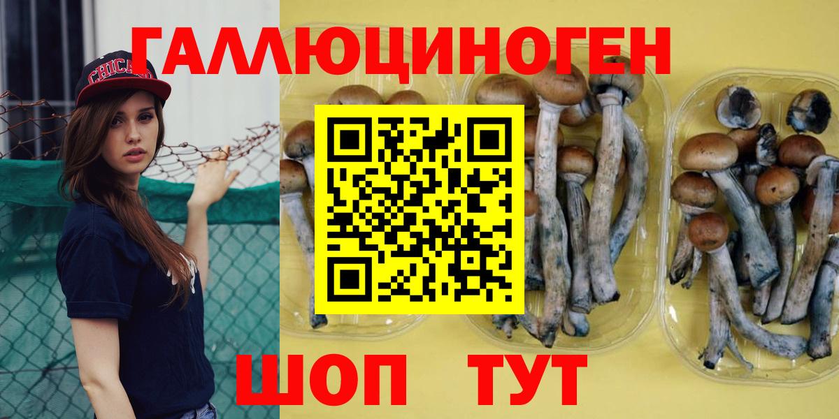 Псилоцибиновые грибы MAGIC MUSHROOMS  Галлюциногенные грибы мухоморы  Звенигород  купить наркоту  Вход с VPN 